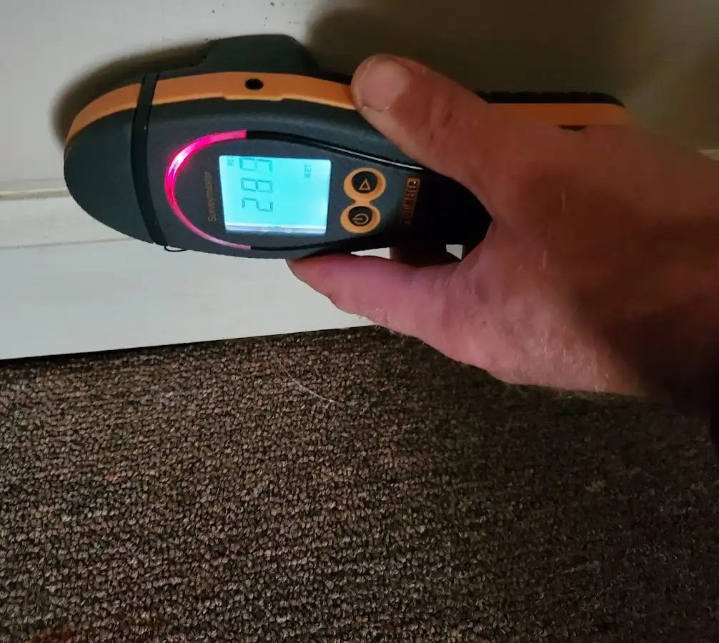 Moisture detection at baseboard during Sewage Cleanup & Sanitation in Hempfield